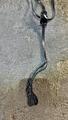martingale GODIGNON