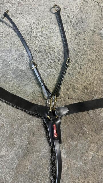 collier de chasse martingale