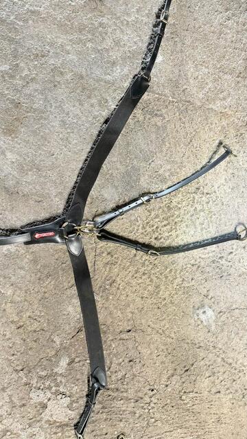 collier de chasse martingale