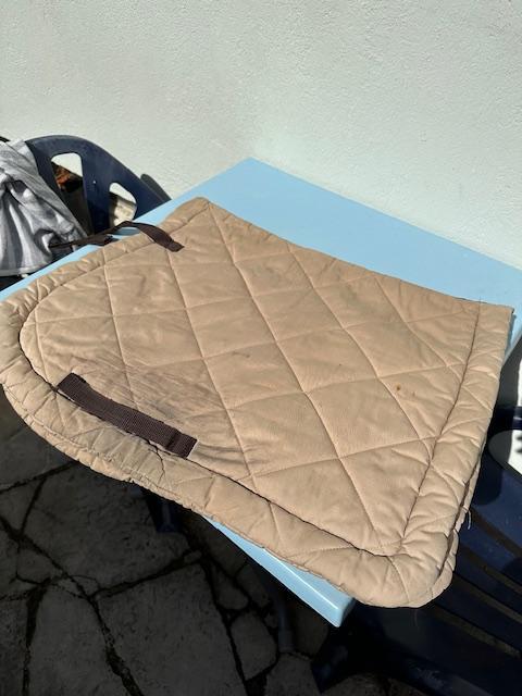 Tapis beige Equithème