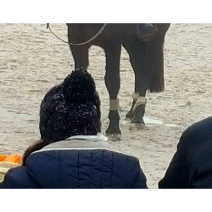 Guêtres et Protèges boulets