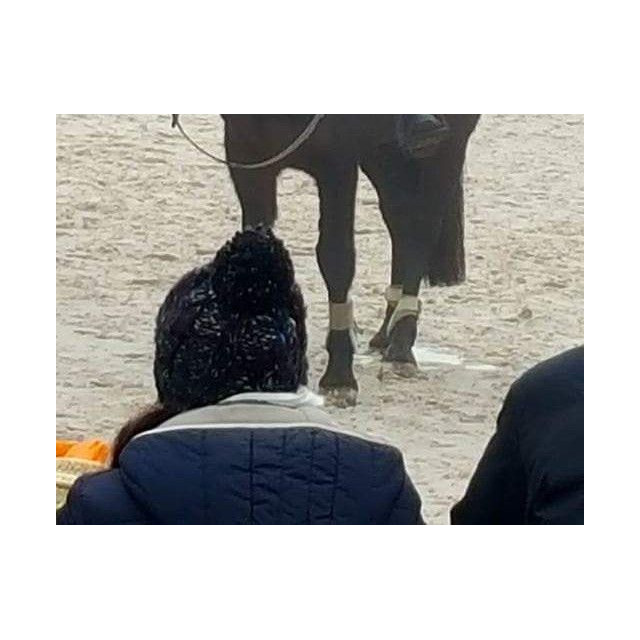 Guêtres et Protèges boulets