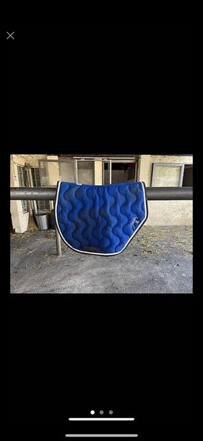 tapis pénélope bleu roi