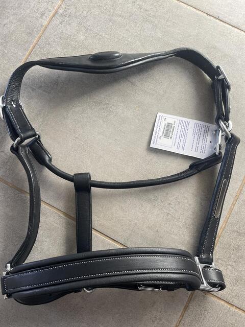 Licol cuir noir