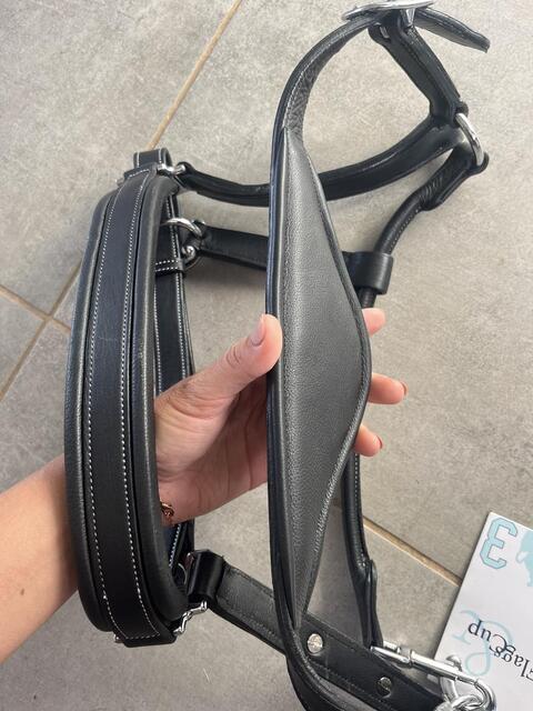 Licol cuir noir
