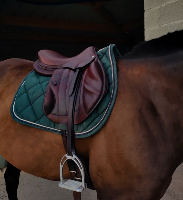 Selle Forestier Boekelo