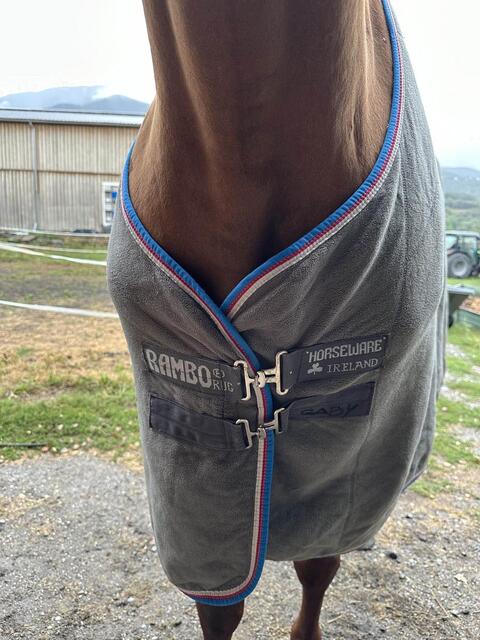polaire horsewear taille 150cm/100g