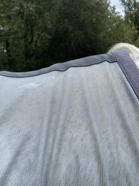 Couverture anti-mouche
