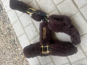 licol Kentucky marron