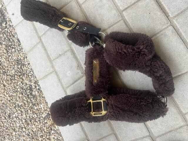 licol Kentucky marron