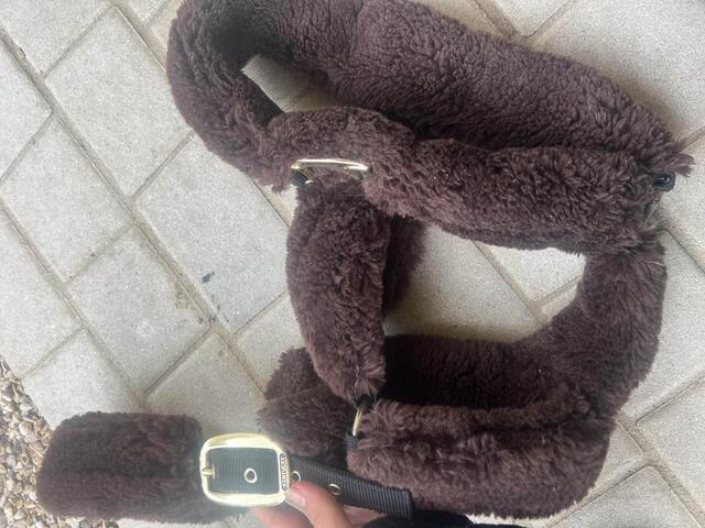 licol Kentucky marron