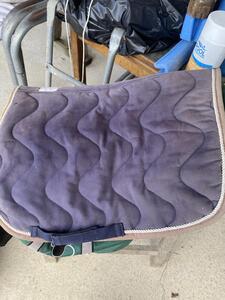 Tapis