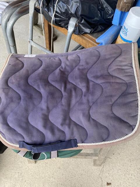 Tapis