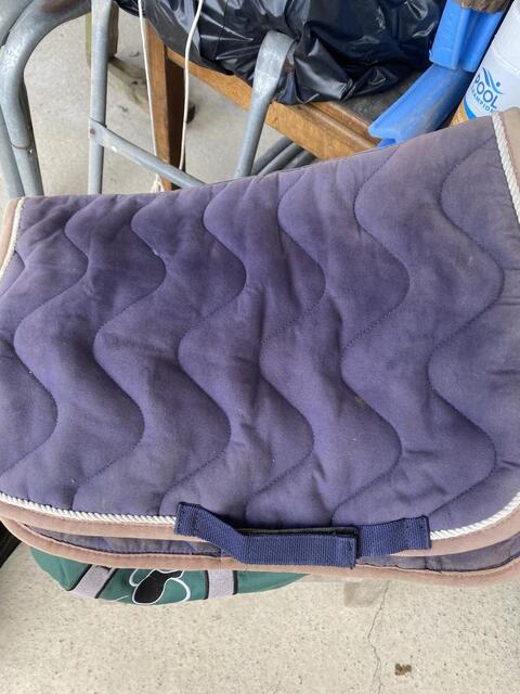Tapis
