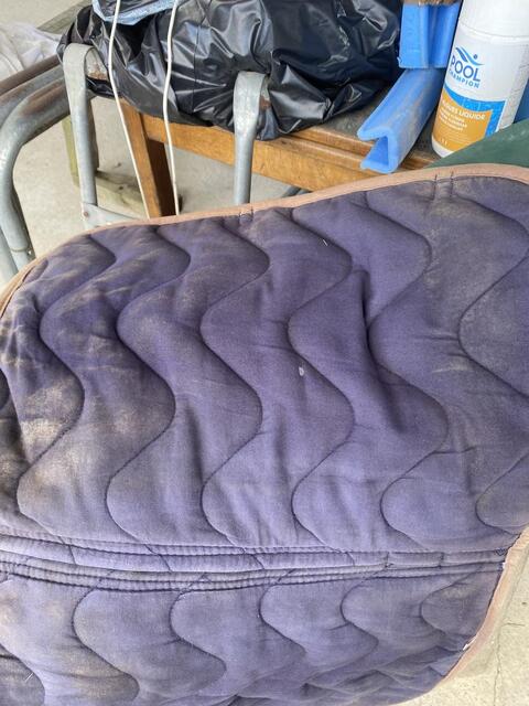 Tapis