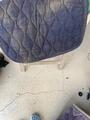 Tapis