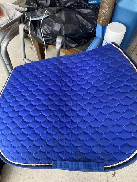 Tapis
