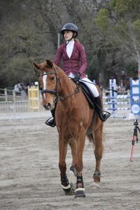 Veste de concours horse pilot
