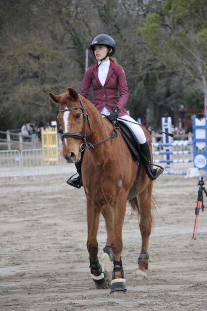 Veste de concours horse pilot