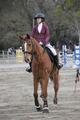 Veste de concours horse pilot