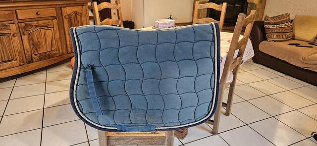Tapis bleu canard