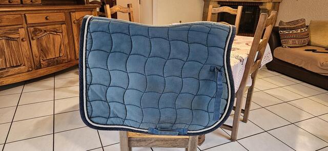 Tapis bleu canard