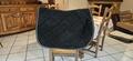 tapis noir parc du cheval chazey sur ain