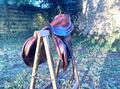 Selle Delgrange Rivoli