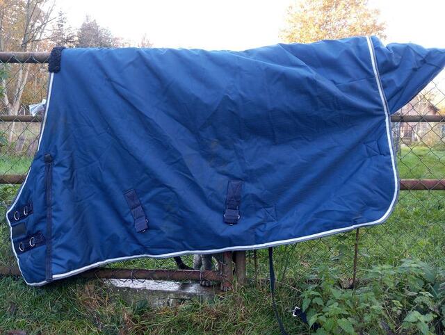 Couverture d'écurie cheval 300g