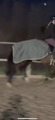 Couvre reins équitheme imperméable vert t150