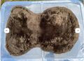Amortisseur gel + mouton