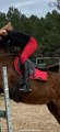 Selle mixte