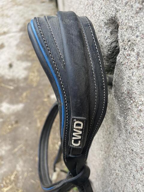 Filet CWD
