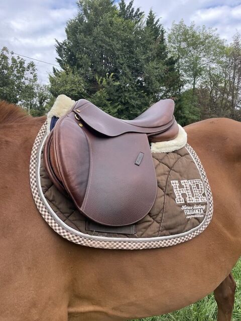 Selle mixte Eric thomas Fitter