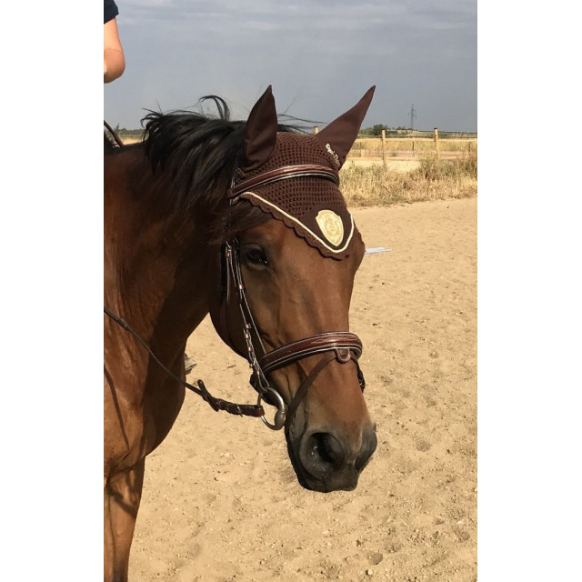 Bridon cso