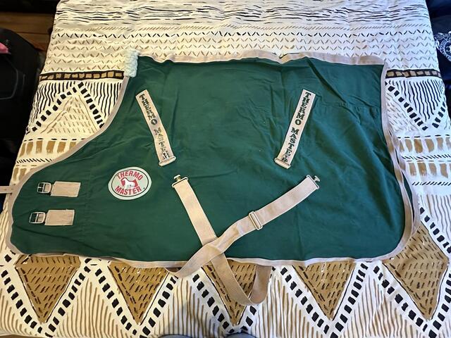 Chemise d'écurie Thermo Master verte, taille 115 cm