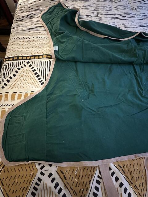 Chemise d'écurie Thermo Master verte, taille 115 cm