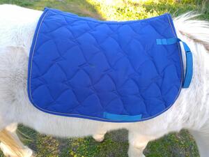 tapis bleu