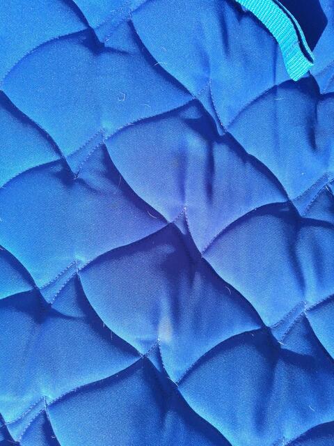 tapis bleu
