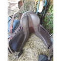 Selle Equip'horse