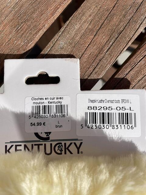 cloche kentucky taille L