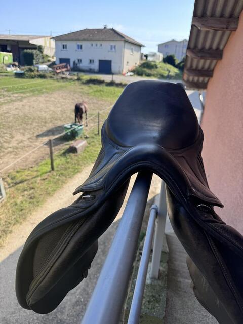 Selle Ikonic
