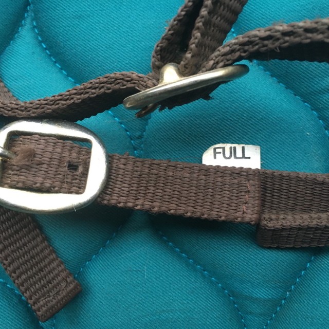 Filet sans mors Bitless