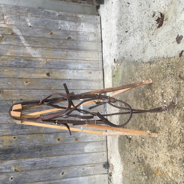 Filet sans mors Bitless