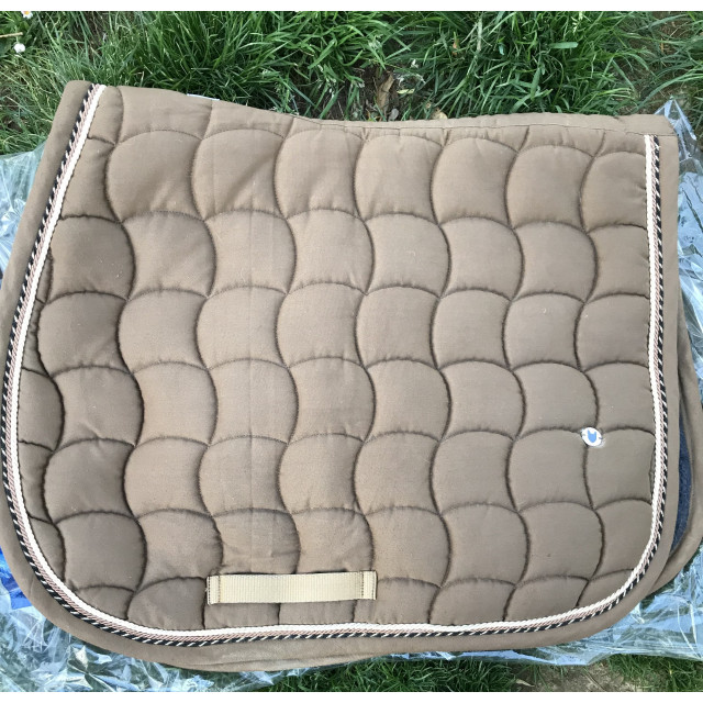 tapis