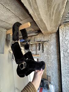 Licol