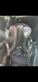 Selle de dressage Bates