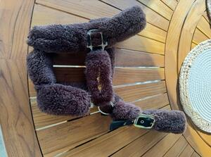 Licol mouton Kentucky
