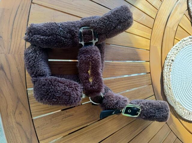 Licol mouton Kentucky