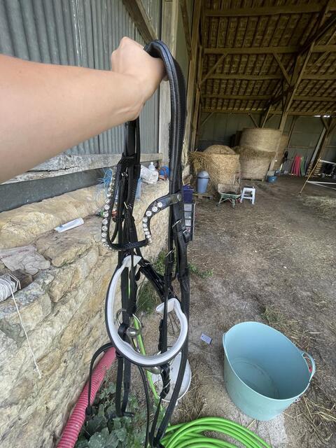 Filet dressage noir full